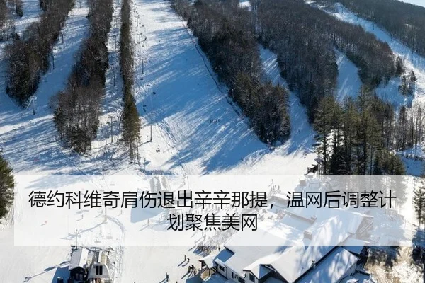 de-yue-ke-wei-qi-jian-shang-tui-chu-xin-xin-na-ti-wen-wang-hou-tiao-zheng-ji-hua-ju-jiao-mei-wang-2-579.jpg